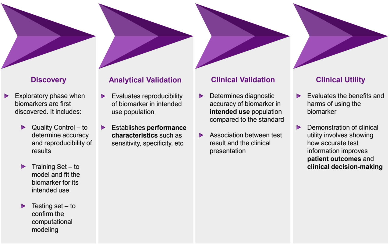 Regulatory and Clinical Development | Skipper BioMed | Cancer Medical