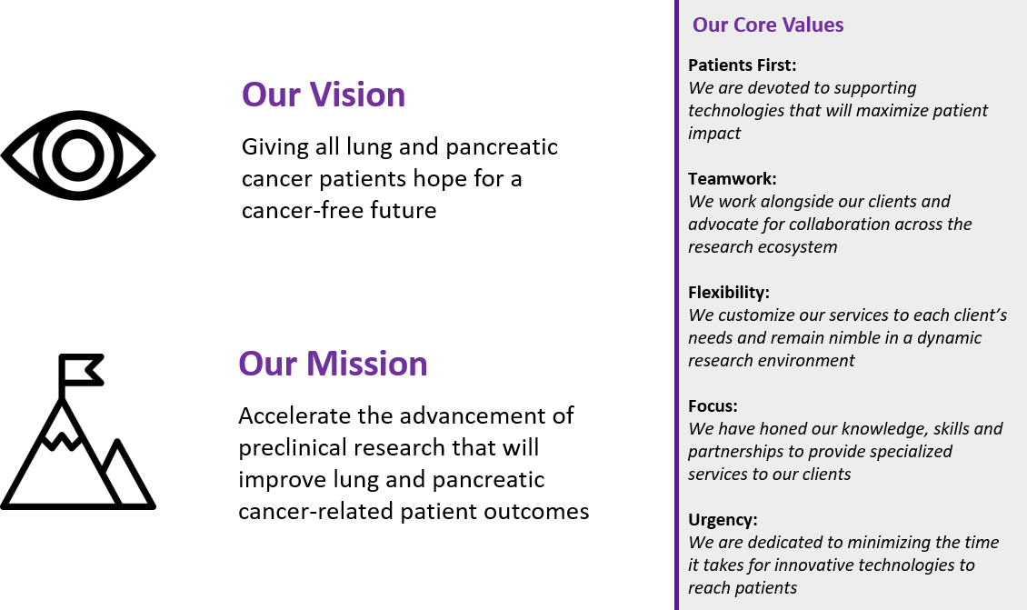 Vison misson values